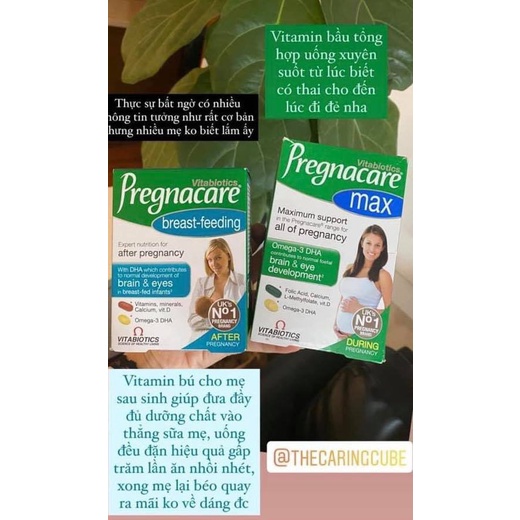 PREGNACARE breast- feeding