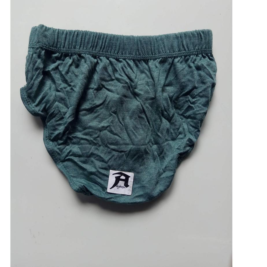 Quần Lót Nam CD / Drakaar 703 / Briefs