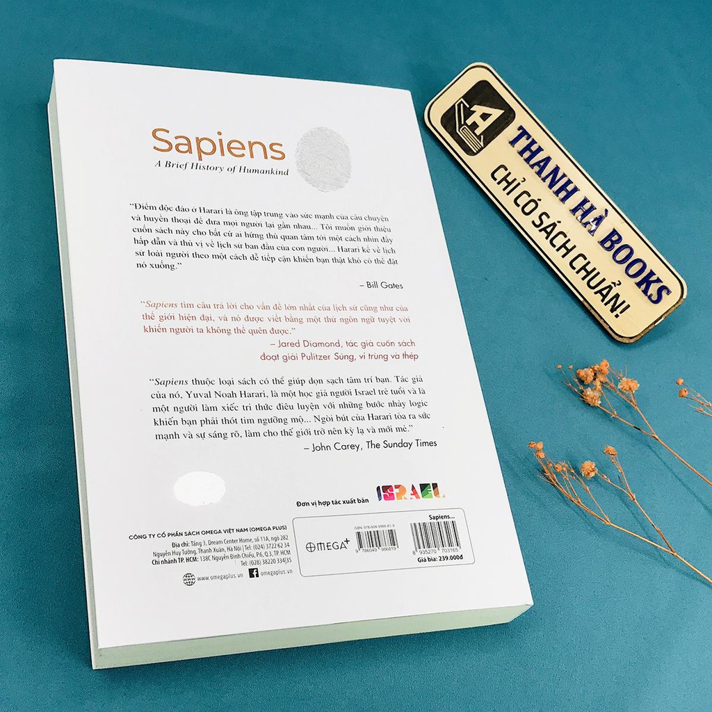 Sách - Sapiens - Lược Sử Loài Người (Tái bản)