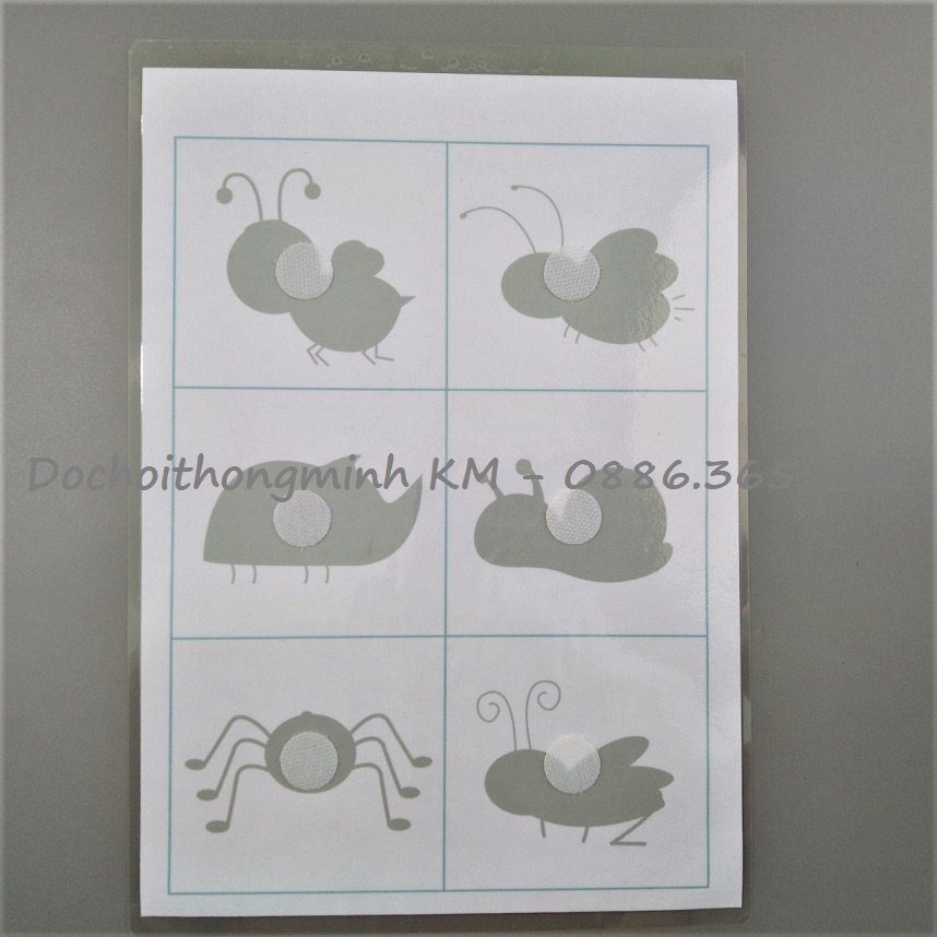 HỌC LIỆU - Matching tìm hình bóng - Tìm bóng côn trùng