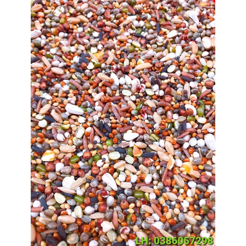 Ngũ cốc chim Cu Gáy 15 loại hạt Có cỏ thái Giá rẻ