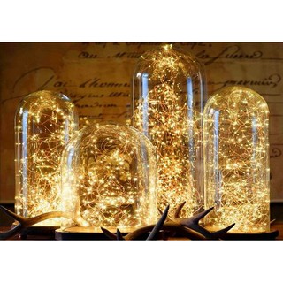 Đèn đom đóm  Fairy Light 5m