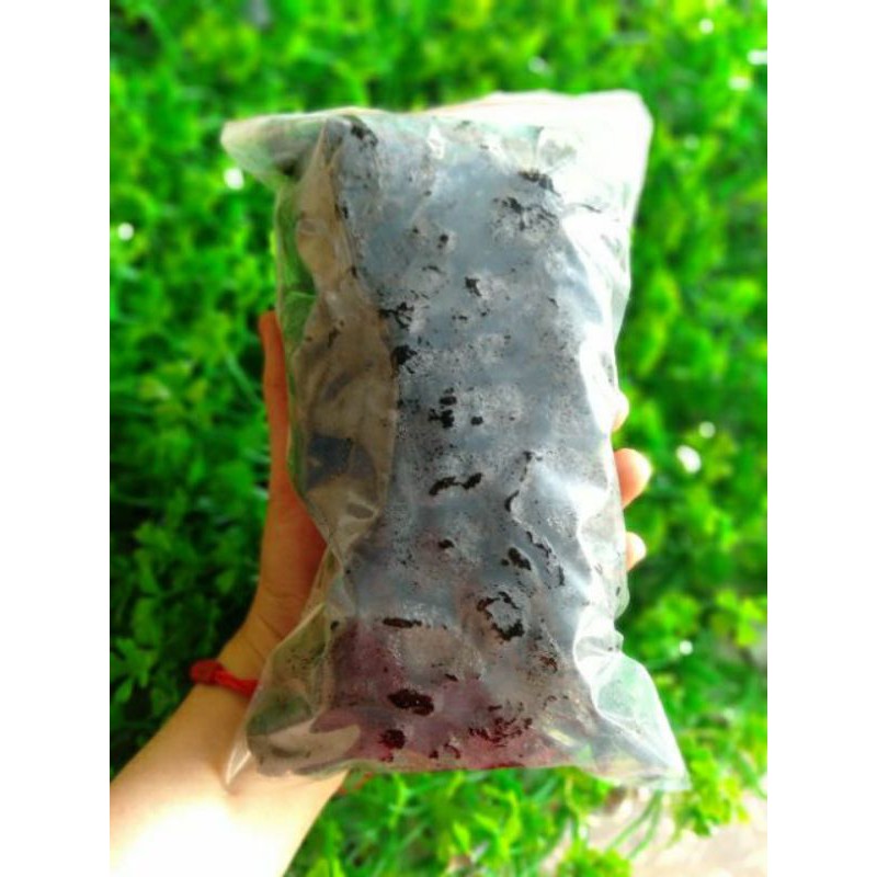 Thục địa nấu nước sâm loại ngon