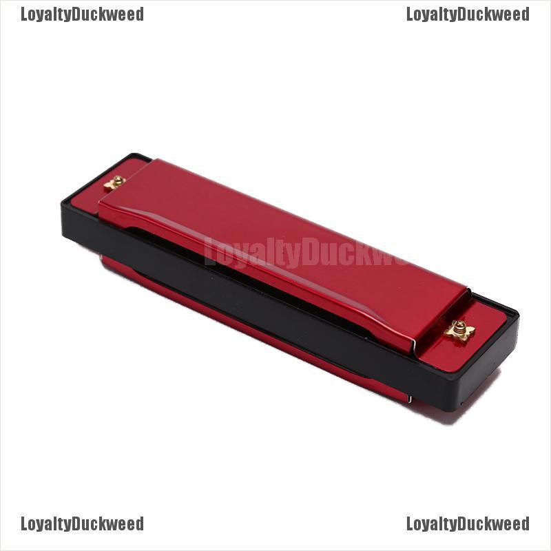 Kèn Harmonica 10 Lỗ Dành Cho Người Mới Bắt Đầu Học