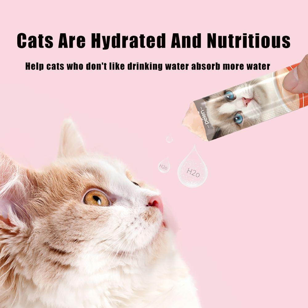 1 Dụng Cụ Huấn Luyện Ăn Uống Cho Mèo Tiện Dụng