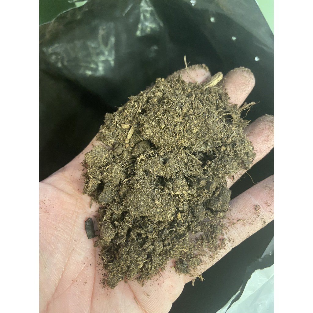 Peat Moss túi 0.5kg ! (than bùn , rêu than phân hủy) giá thể ươm mầm , trồng cây , bón lót xương rồng, sen đá !