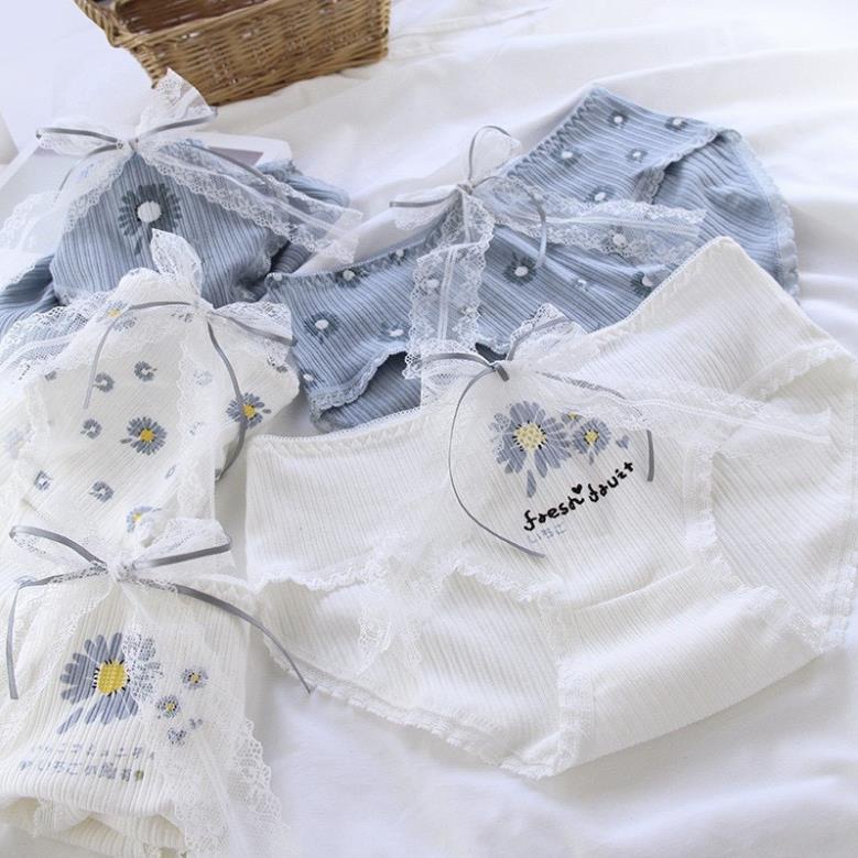 [Giá sỉ] Quần Lót Cotton Co Giãn 4 Chiều Cúc Hoạ Mi (40-80kg)