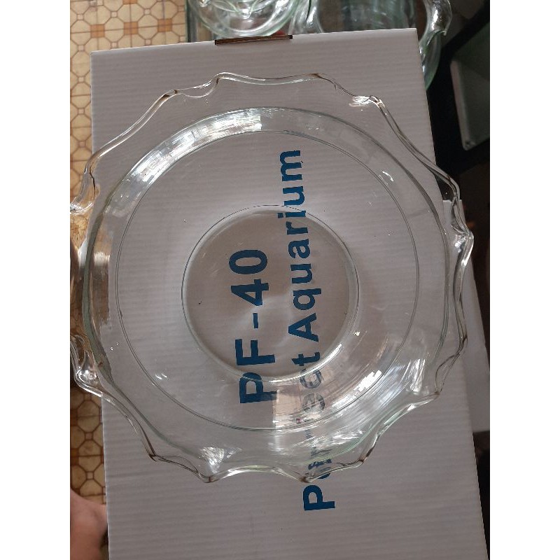 Hủ thủy tinh tai bèo ( tặng 0,5kg đá trắng), bể cá tai bèo. Hủ trồng cây cảnh.