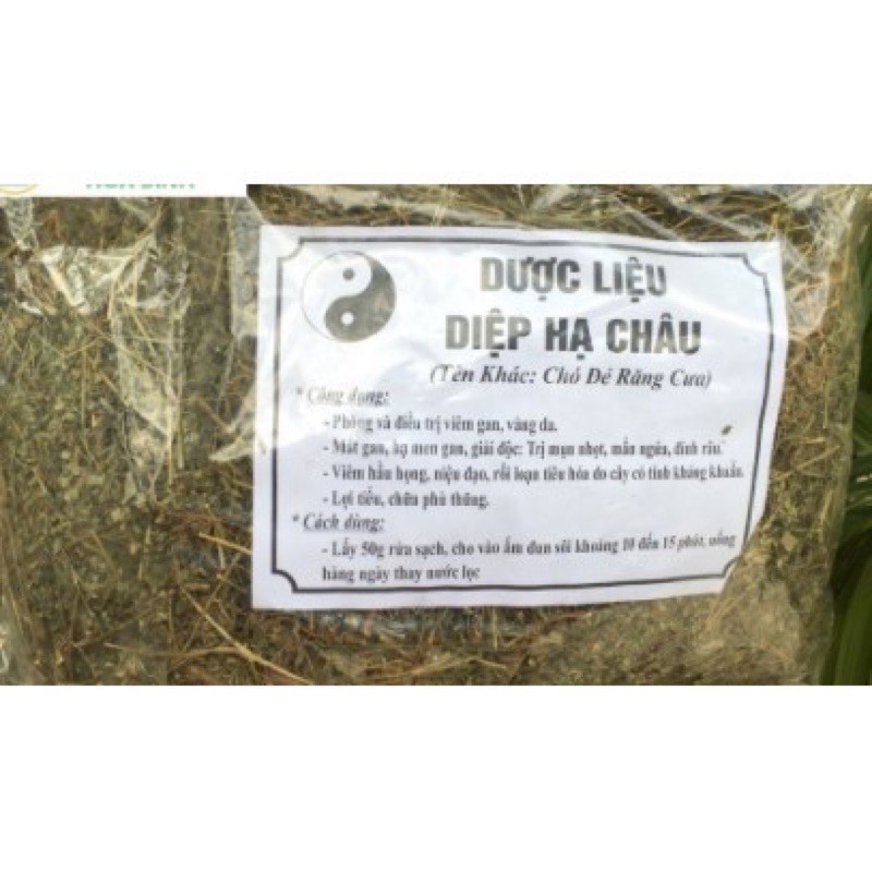 Diệp hạ châu ( cây chó đẻ răng cưa) . Túi 1kg