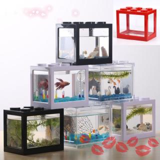 Bể Cá Mini Siêu Bền Độc Đáo