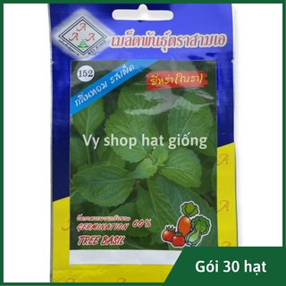 Hạt giống húng quế tây Thái Lan gói 30 hạt