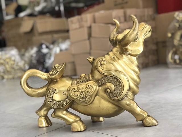 Trâu đuôi Như ý