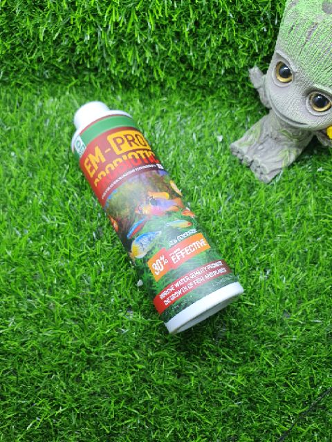 Vi Sinh Cao Cấp Canada - Jlap Em - 1 Và Combo Jlap Em Pro - Guppy Xanh
