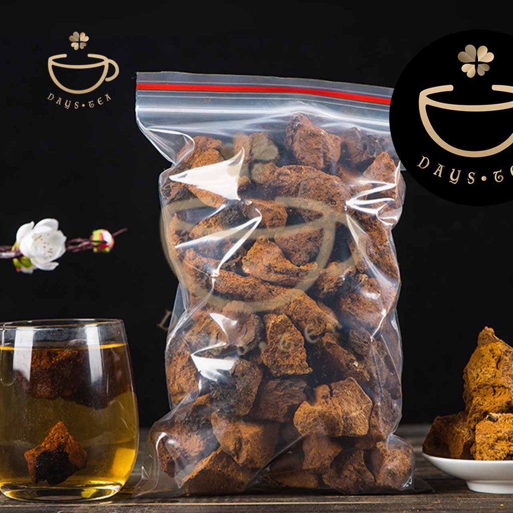 NẤM CHAGA 100G - HẠ ĐƯỜNG HUYẾT, GIẢM MỠ MÁU - Trà thảo mộc Daystea