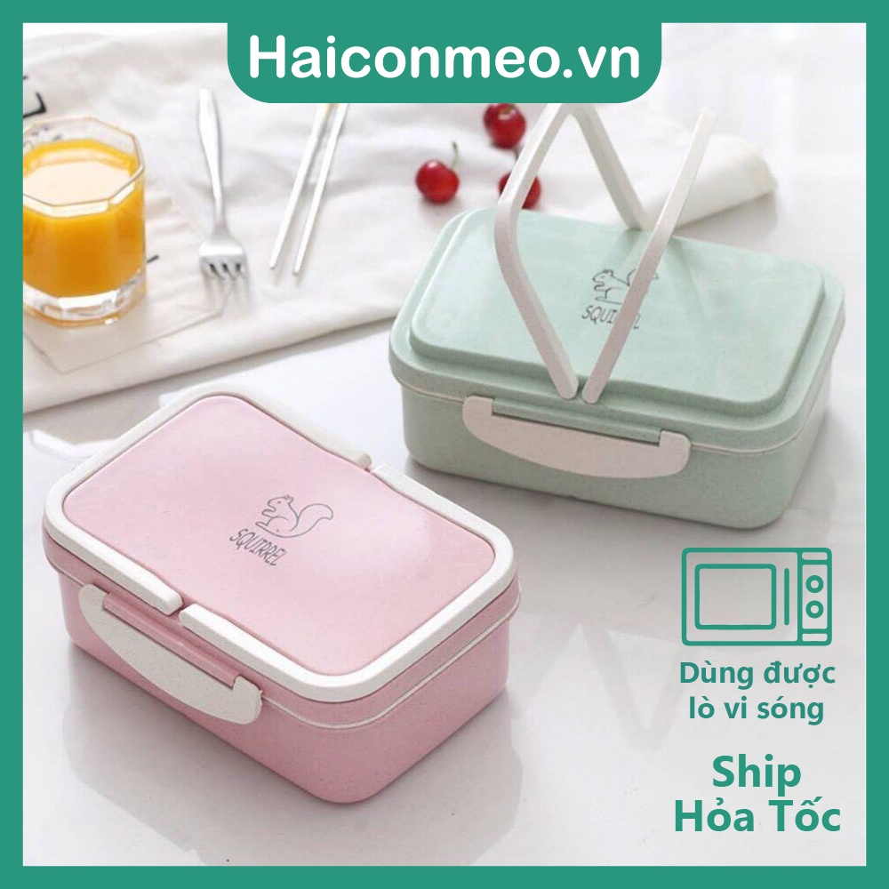 Hộp cơm lúa mạch văn phòng 2 tầng SQUIRREL thân thiện môi trường 800ml