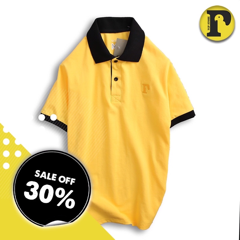 Áo thun POLO nam cao cấp [ Giảm đến 40% ] vải cá sấu co giản 4 chiều CVC - VGPAT01 | BigBuy360 - bigbuy360.vn