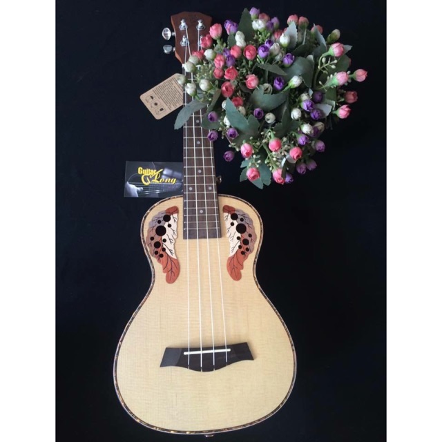 Đàn Ukulele Concert MT-1000 CB2
