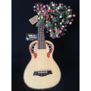 Đàn ukulele concert mt-1000 cb2