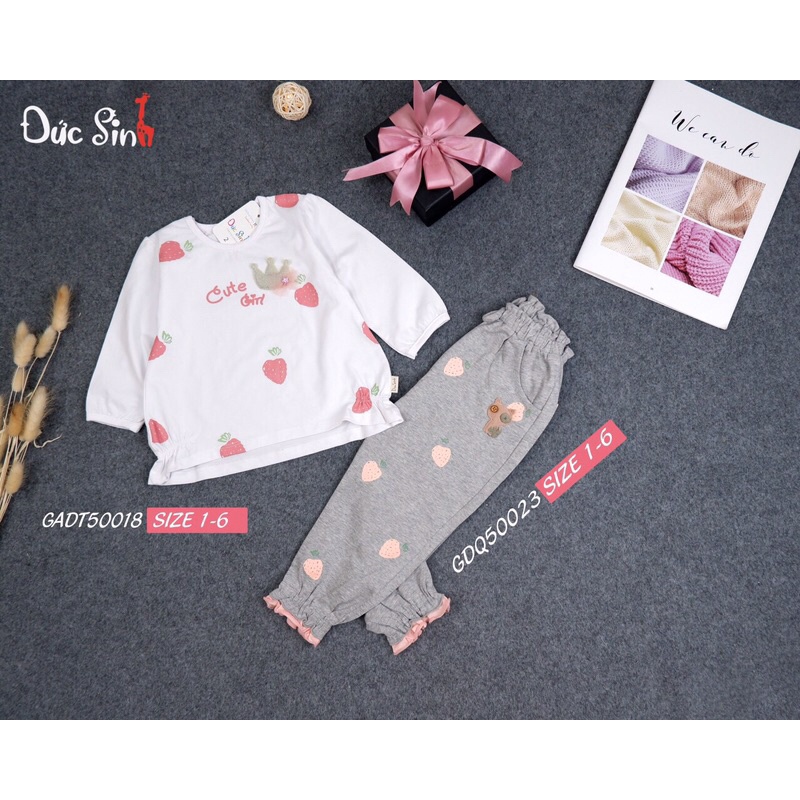 Áo dài tay mỏng Đức Sinh