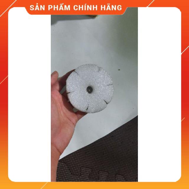 🐠 Lưỡi lục siêu nhậy 🐠