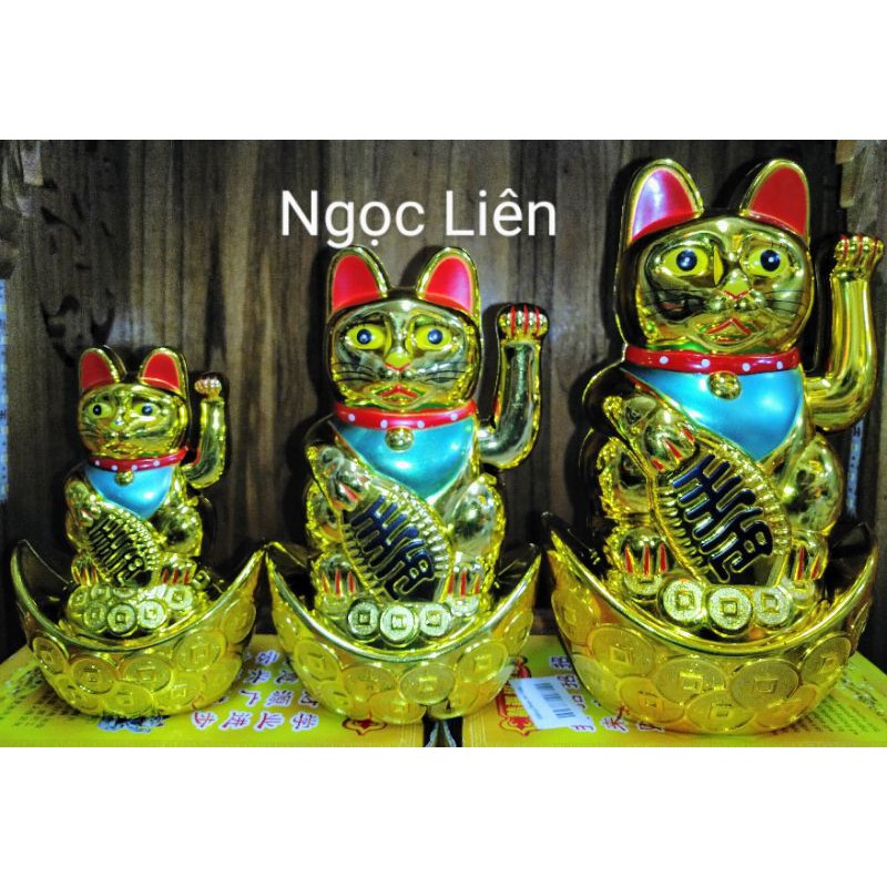 Mèo ngoắc khách xài pin AA