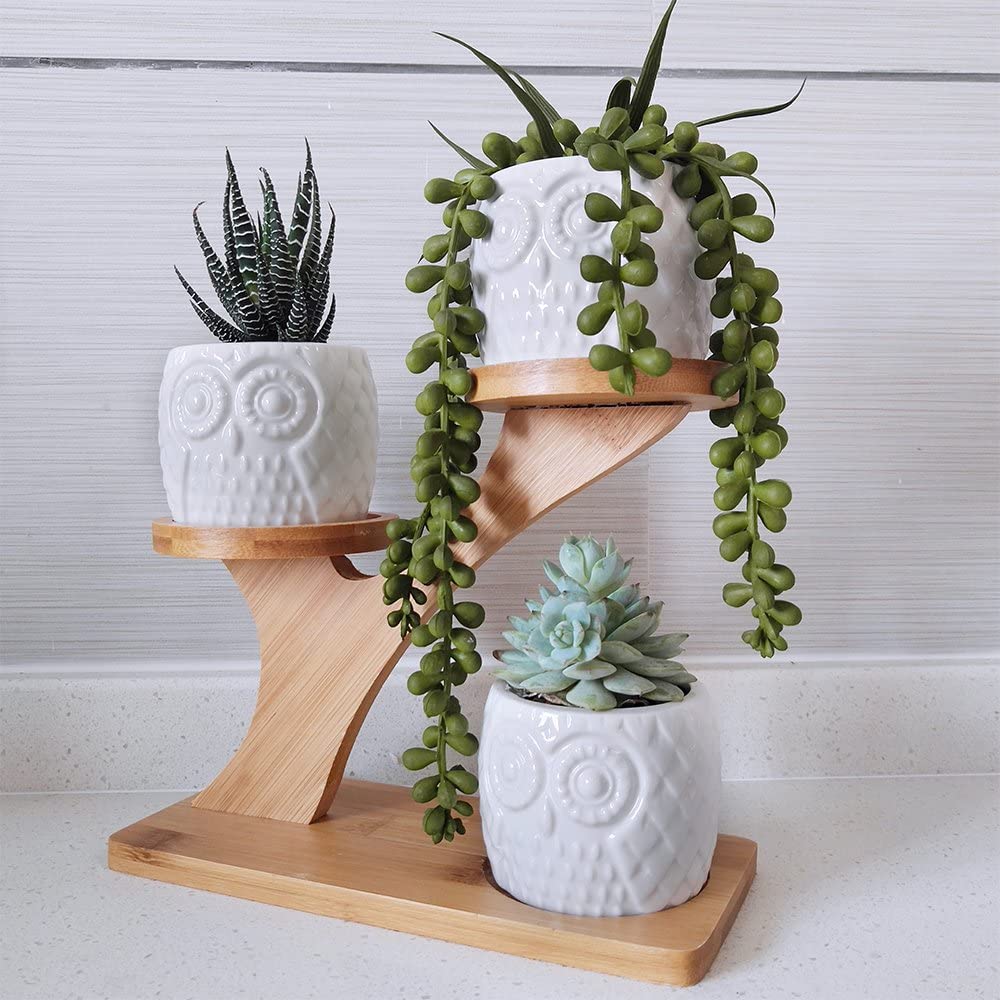 3 cái Chậu mọng nước với 3 tầng Đĩa tre Giá đỡ - Chậu trồng hoa gốm sứ trắng Chậu cây thoát nước - Văn phòng tại nhà Bàn làm việc Vườn cây xương rồng nhỏ Trang trí trong nhà