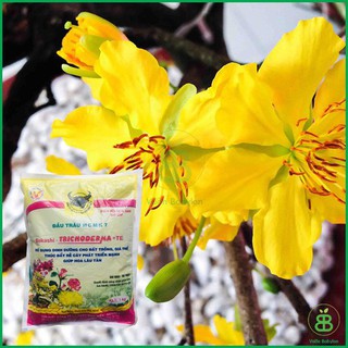 Phân Hữu Cơ Vi Sinh Trichoderma + TE Đầu Trâu 5kg