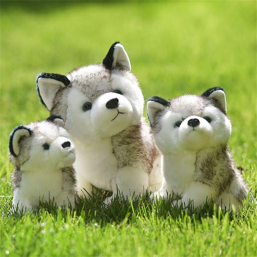 Chú Chó Husky Nhồi Bông Đáng Yêu Cho Bé