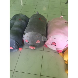 Heo mắt híp 90 cm
