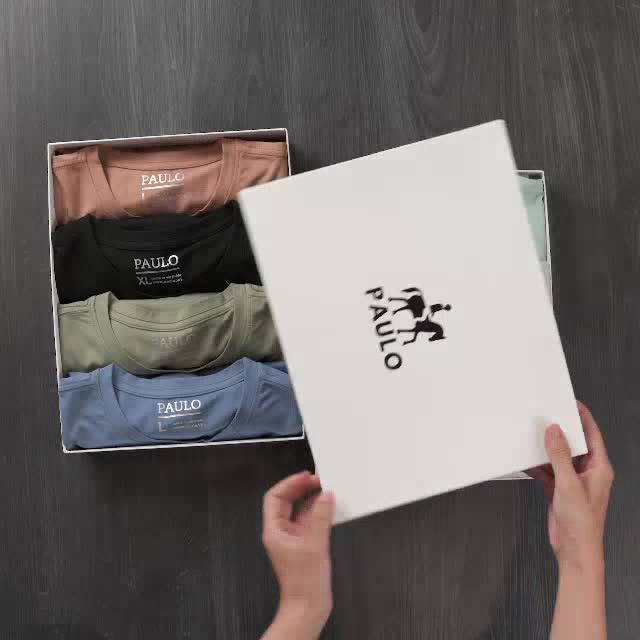 Áo thun nam cổ tròn PAULO vải Cotton lạnh co giãn,dày dặn, form regular fit P01 | BigBuy360 - bigbuy360.vn