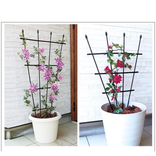 Khung hình quạt cao 90cm dùng để trang trí sân vườn cây leo