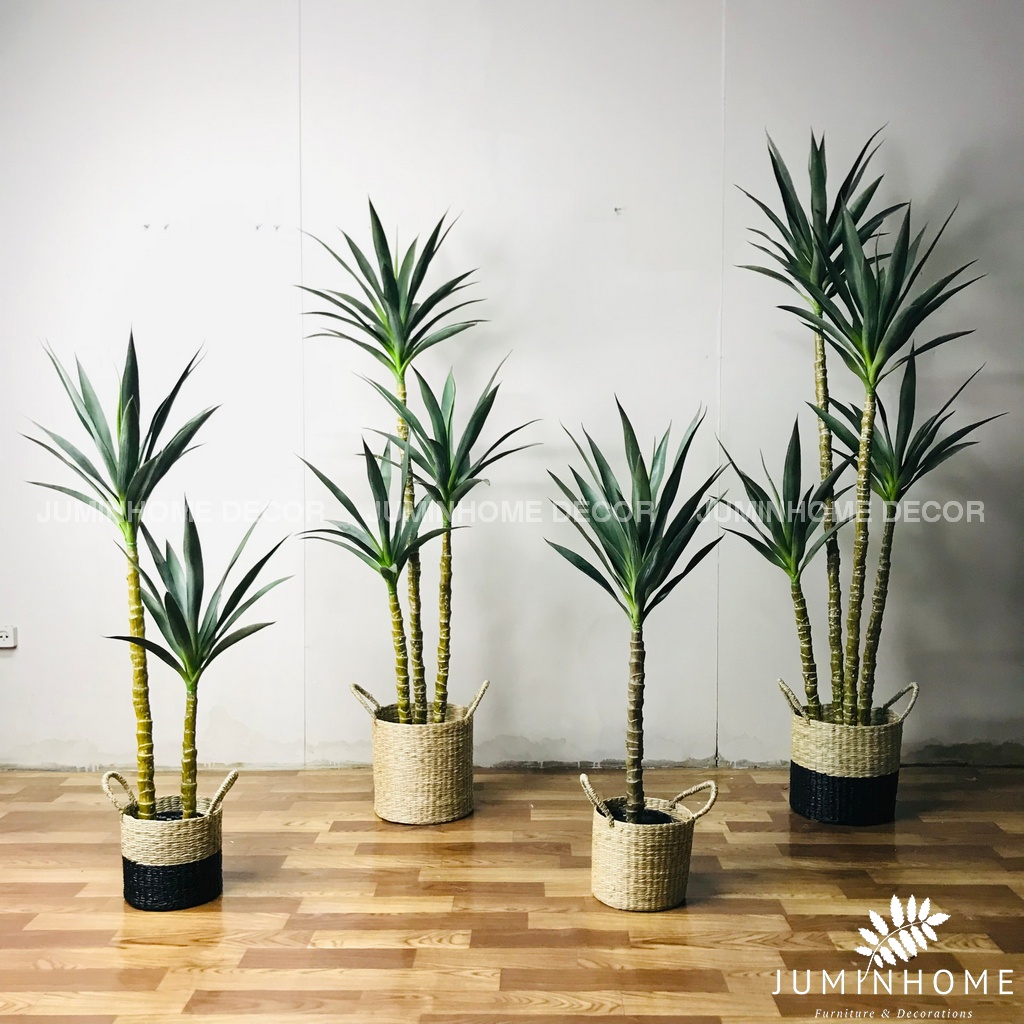 Cây giả, Cây thiết mộc lan giả, phát tài núi cao 180cm - Cây giả decor trang trí nhà cửa nội thất phòng khách phòng ngủ