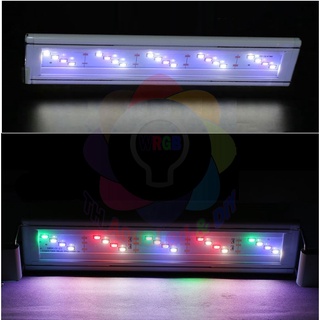 Đèn LED thủy sinh hồ cá Full bộ chính hãng chất lượng cao tiết kiệm điện 2 Phân loại Trắng và WRGB