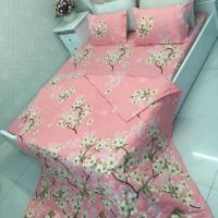 Set vỏ ga gối chăn hè poly cotton