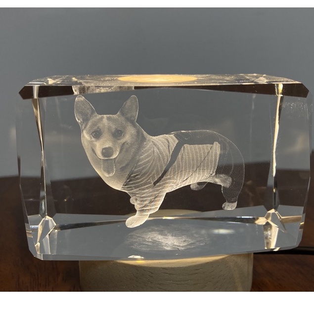 Đèn Ngủ 3D Quả Cầu Pha Lê Phát Sáng ảnh corgi dễ thương, Quà Tặng Sinh Nhật, Quà Lưu Niệm, Qùa Tặng Giáng Sinh