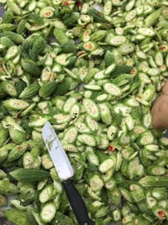 1 Kg Mướp đắng ( Khổ qua rừng) tắm cho bé