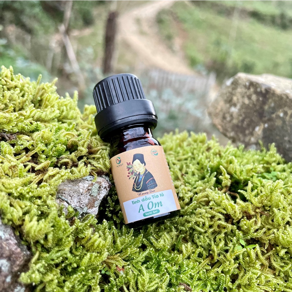 Tinh Dầu Tía Tô Giảm Cảm Mạo, Chăm Da A Om 5ml