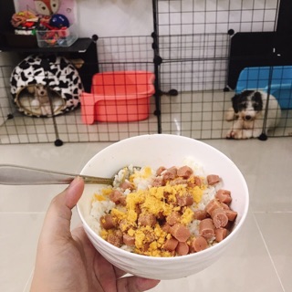 Thịt Hầm Cho Chó Mèo