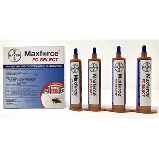 (HOẢ TỐC) Thuốc diệt gián Maxforce Bayer Đức 1 ống lẻ
