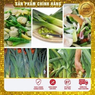 Hạt Giống Tỏi Tây(1gr)
