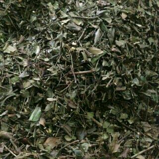 (FREESHIP TỪ 99K)  3kg chè vằng sẻ nghệ an