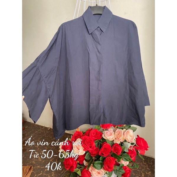 Áo sơ mi màu kiểu
