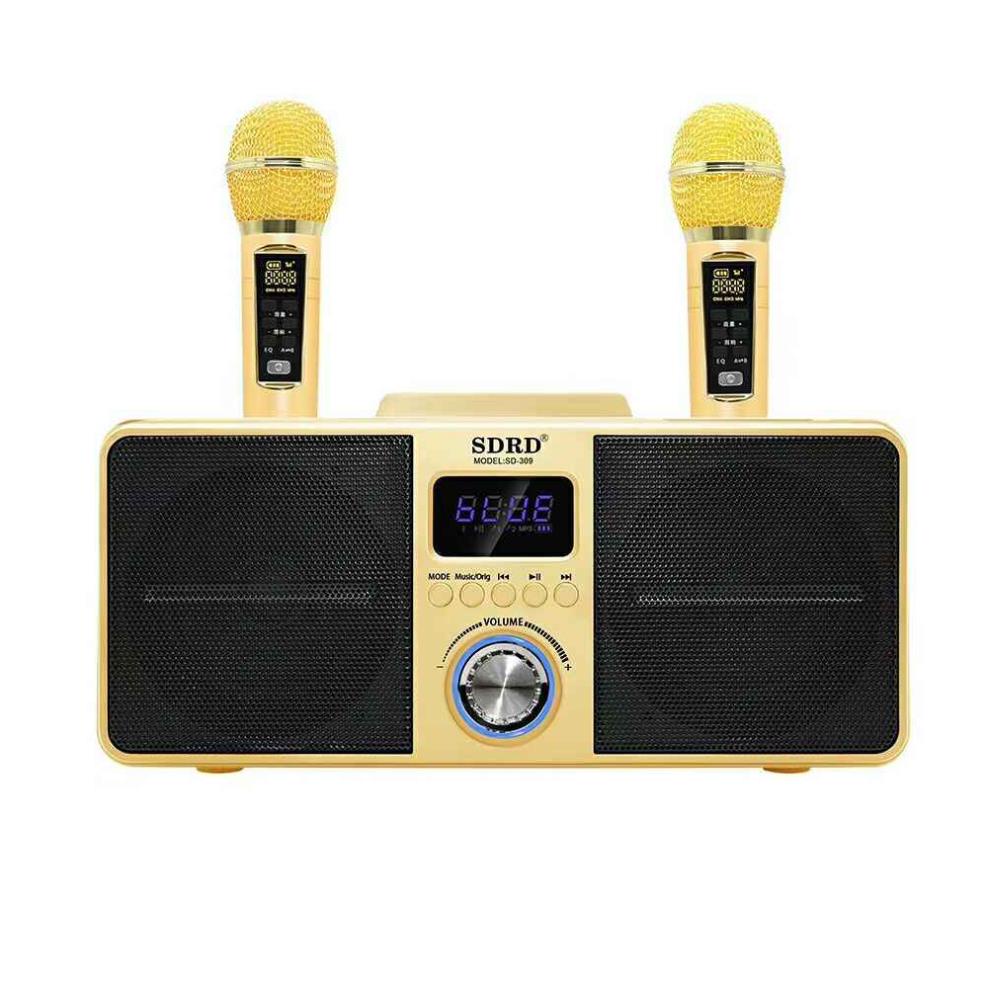 Loa Karaoke Bluetooth SDRD SD309 . công suất lớn, kèm 2 mic không dây, Âm Thanh Nổi Stereo 3D ấn tượng.