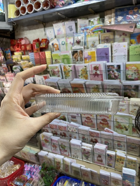 100 cái hộp nhựa hình chữ nhật nắp gập mã H21 hoặc H23