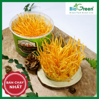 Đông Trùng Hạ Thảo Khô Nguyên Đế Biogreen Sấy Thăng Hoa