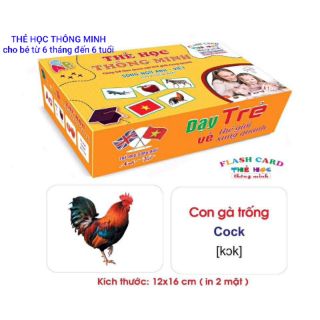 Thẻ học thông minh chuẩn Glenn Doman cho bé