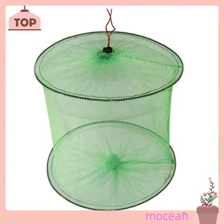Lồng lưới bắt cá 2 tầng tiện lợi