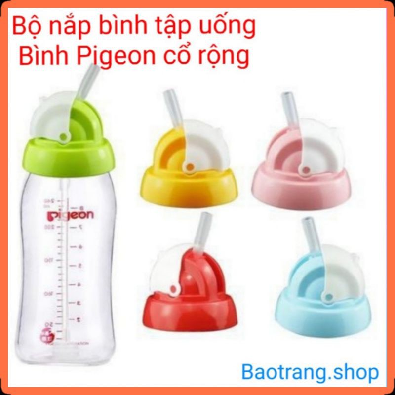 [SIÊU HOT] Nắp tập uống, tập hút bình sữa Pigeon cổ rộng