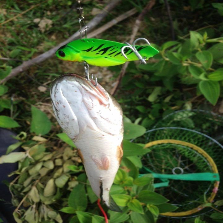 Mồi câu cá sắt full lưỡi BKK