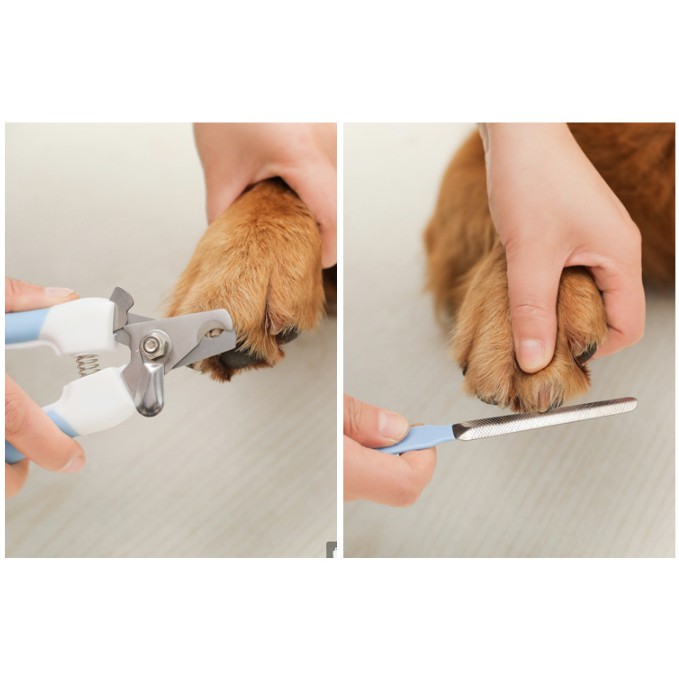Bộ dụng cụ cắt móng cho thú cưng